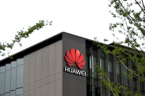 王忠林調研企業疫情防控和復工復產 服務更優 動作更快 讓企業有更多獲得感